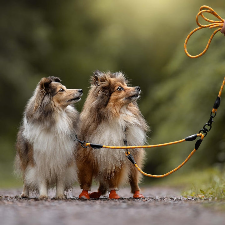 Floxik Tau Doppelleine für 2 Hunde grau/orange - reflektierend, dehnbar und verhedderungsfrei – Dopp