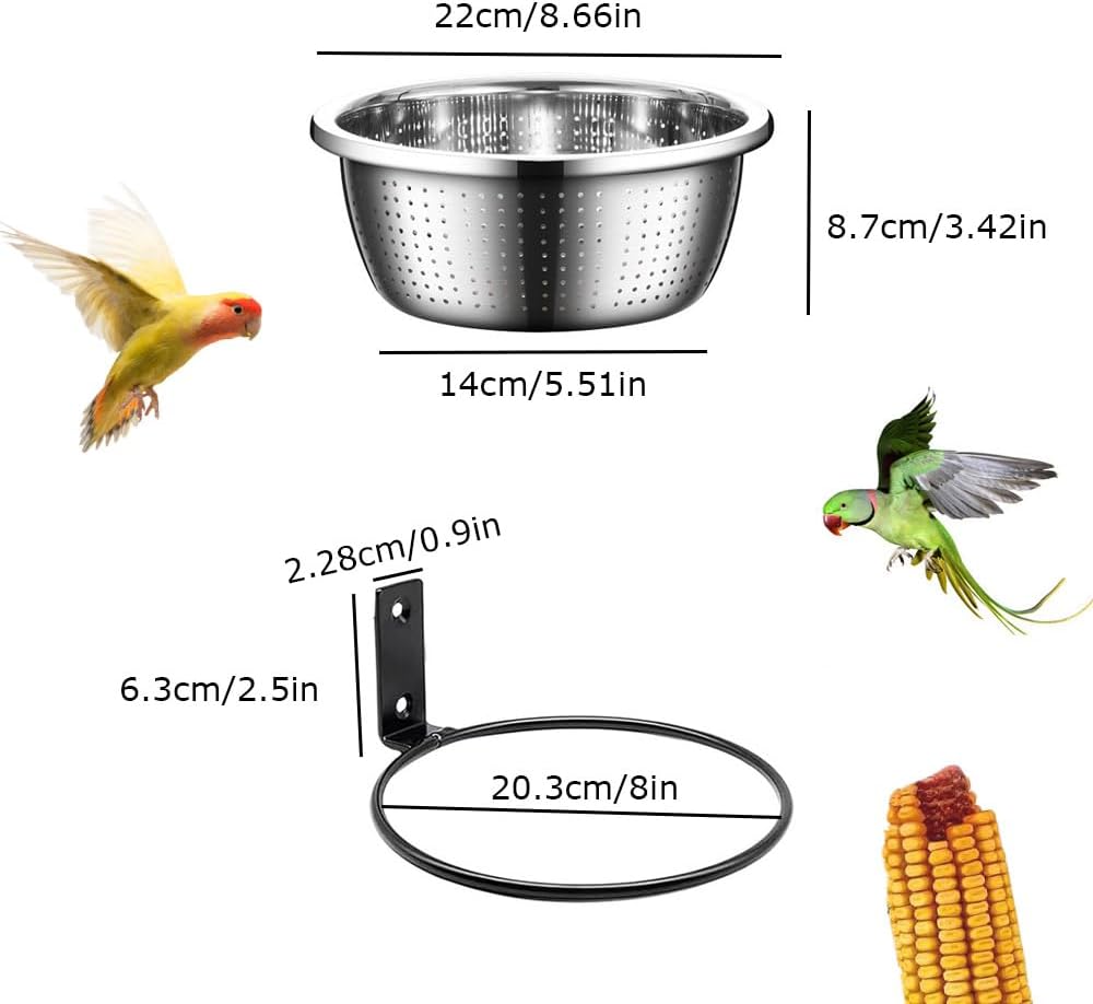 Esforzarse 2 Stück 22cm Edelstahl Eichhörnchen Futterhaus mit 8-Zoll-Entnehmbare Metallfutter-Schale