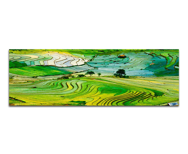Paul Sinus Art Panoramabild auf Leinwand und Keilrahmen 150x50cm Vietnam Landschaft Reisfelder Terra