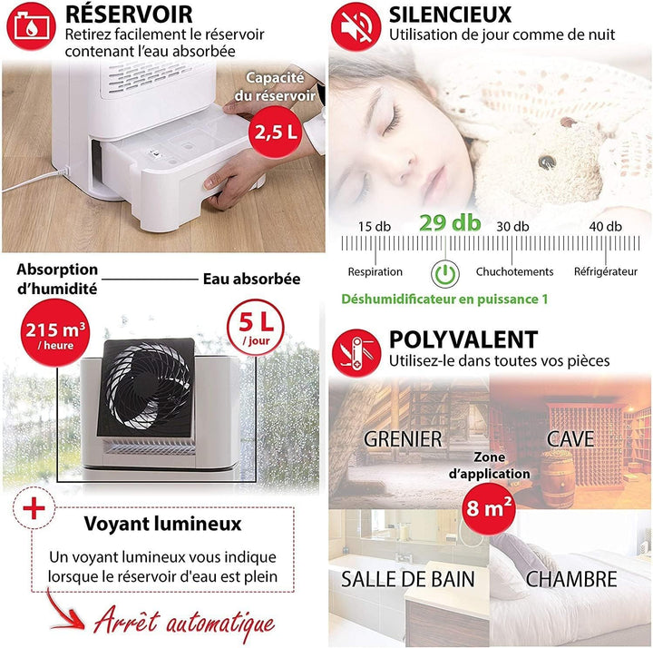 Woozoo, Tragbarer 2-in-1 Luftentfeuchter & oszillierender Ventilator, 21m², 590W, Wassertank 2.5L, T