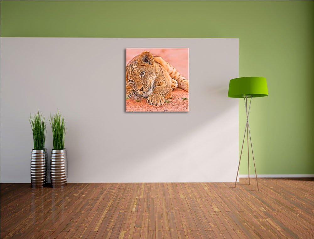 süsses Löwenbaby spielt, Format: 70x70 auf Leinwand, XXL riesige Bilder fertig gerahmt mit Keilrahme