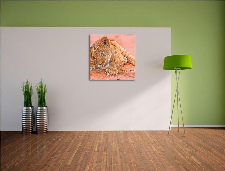 süsses Löwenbaby spielt, Format: 70x70 auf Leinwand, XXL riesige Bilder fertig gerahmt mit Keilrahme