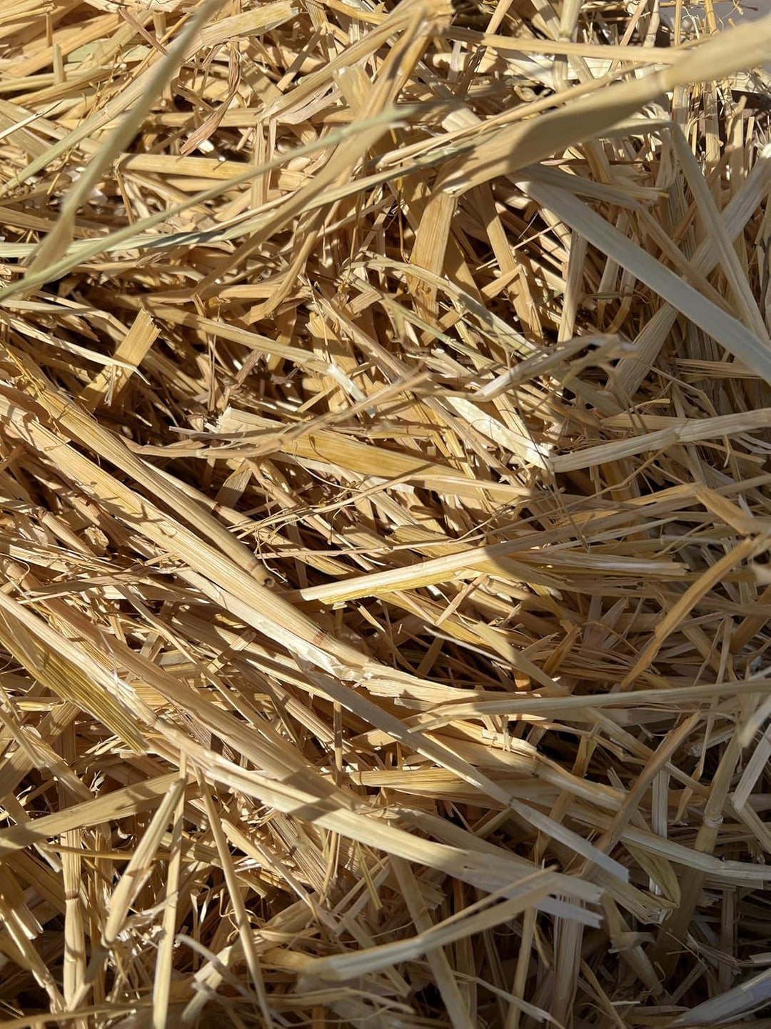 Stroh Goldstroh Einstreu für Kaninchen &amp; Meerschweinchen TOP Qualität (ca. 16kg)