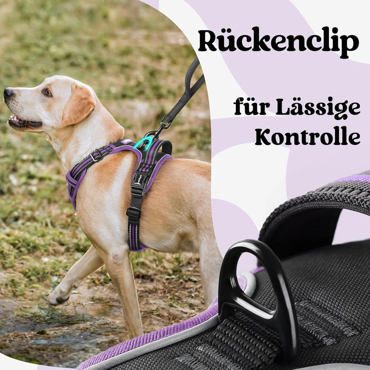rabbitgoo Hundegeschirr Grosse Hunde, Verstellbare Geschirr Hund ohne Zug &amp; Würgen, Anti Zug Hundege