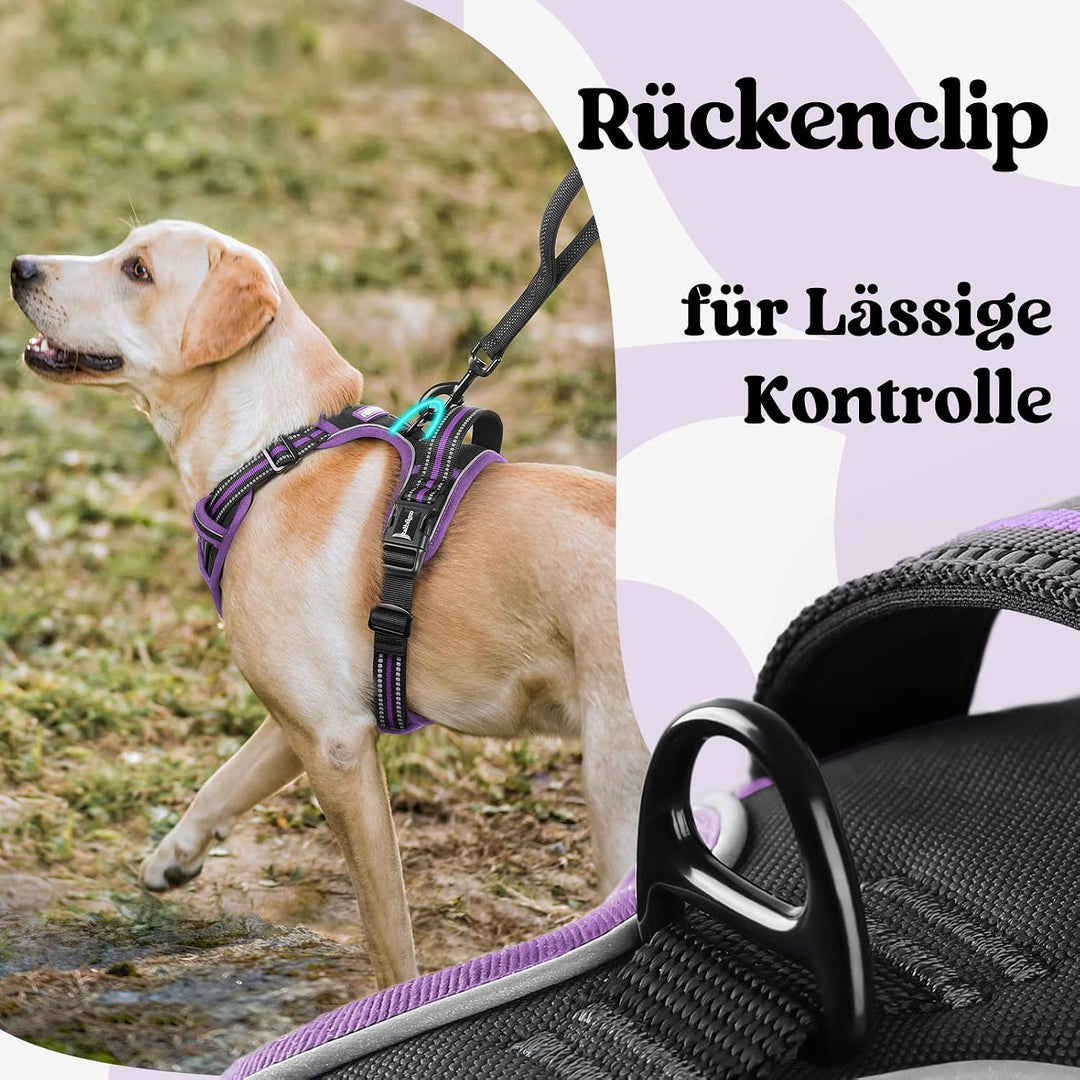 rabbitgoo Hundegeschirr Grosse Hunde Leichtes Anlegen, L, Schwarz &amp; Lila | Anti Zug, Ohne Kopfdurchz