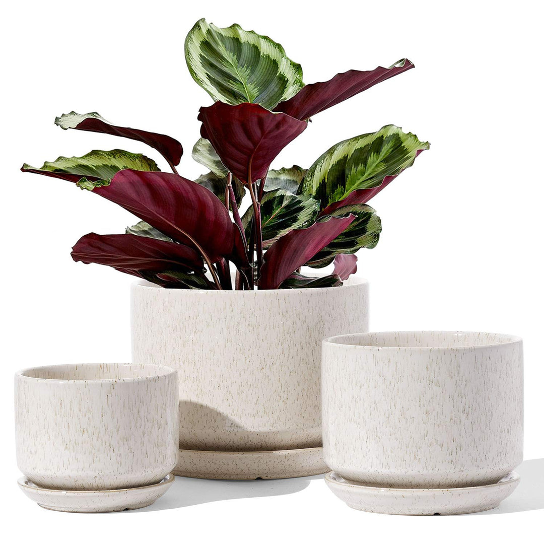 LE TAUCI Keramik Blumentöpfe 4,3+5,3+17,3 cm, 3er Set, Pflanzgefässe mit Ablaufloch und Untersetzer,