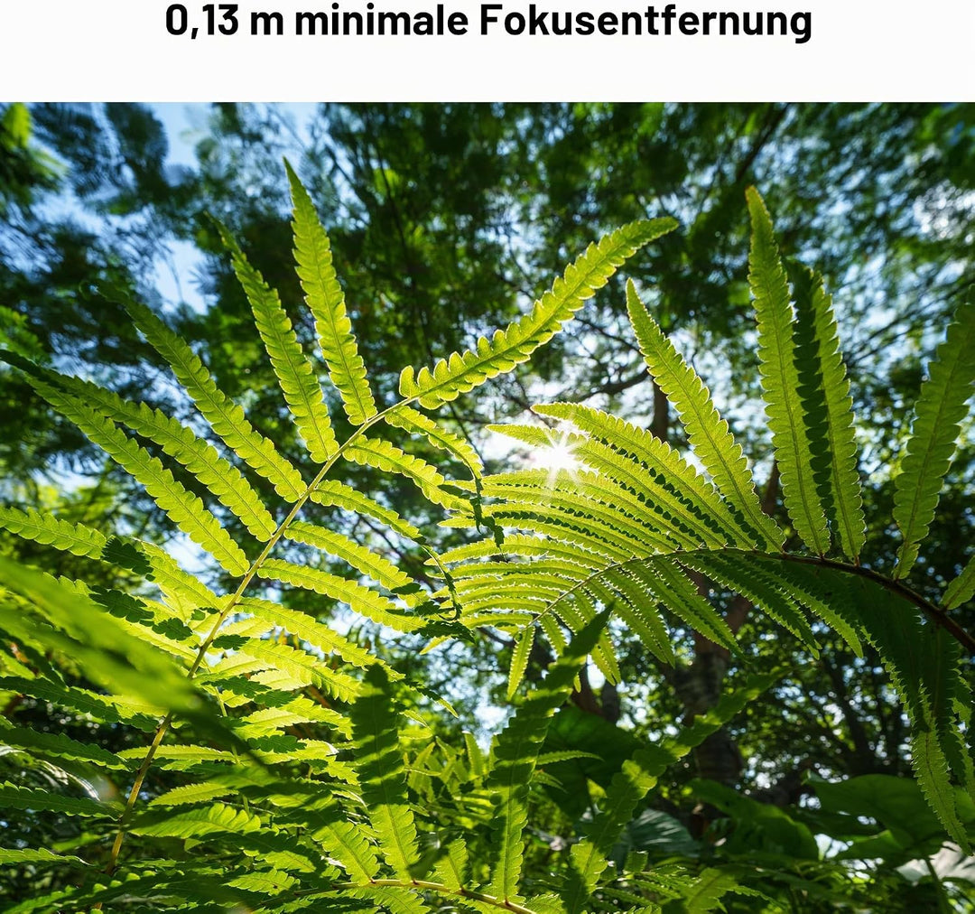 VILTROX 14mm f4.0 FE Objektiv für Sony E-Mount, Vollformat Grosse Blende Ultra-Weitwinkel Prime Obje