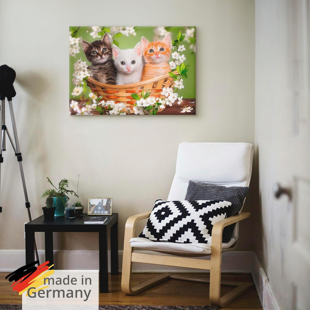 Artland Leinwandbild Wandbild Bild auf Leinwand 70x50 cm Wanddeko Katze Tiere Katzenbaby Baby Landha