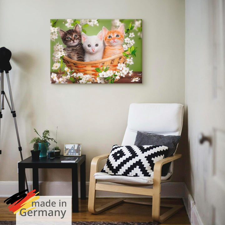 Artland Leinwandbild Wandbild Bild auf Leinwand 70x50 cm Wanddeko Katze Tiere Katzenbaby Baby Landha