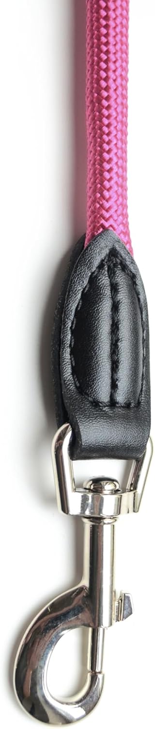 Leisegrün Hundeleine Derby | 2m Länge, Robustes Nylon, Flexibel verstellbar für mittelgrosse bis gro