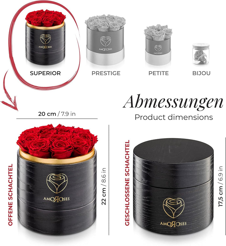 Amoroses Superior 12 echte stabilisierte Rosen mit handgefertigter Hutschachtel aus Holz - Blumenstr