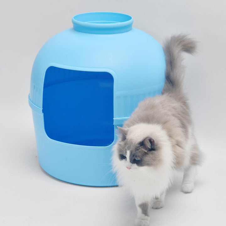 RHRQUALITY Katzentoilette – Flower XXL – Versteckte Katzentoilette – Für grosse Katzen – Mit grossem