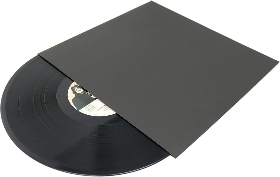 BIG FUDGE Pro Blank Schallplatten Hüllen - 12" x Schwarz - 20 Vinyl LP Schutzhüllen 400 g/m² - Kompa