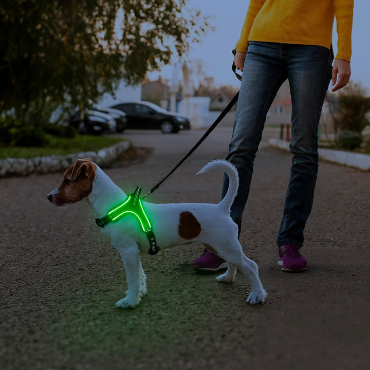 Light Up Light Hundegeschirr Leuchtend Aufladbar, LED Hundegeschirr mit Griff, Reflektierende Brustg