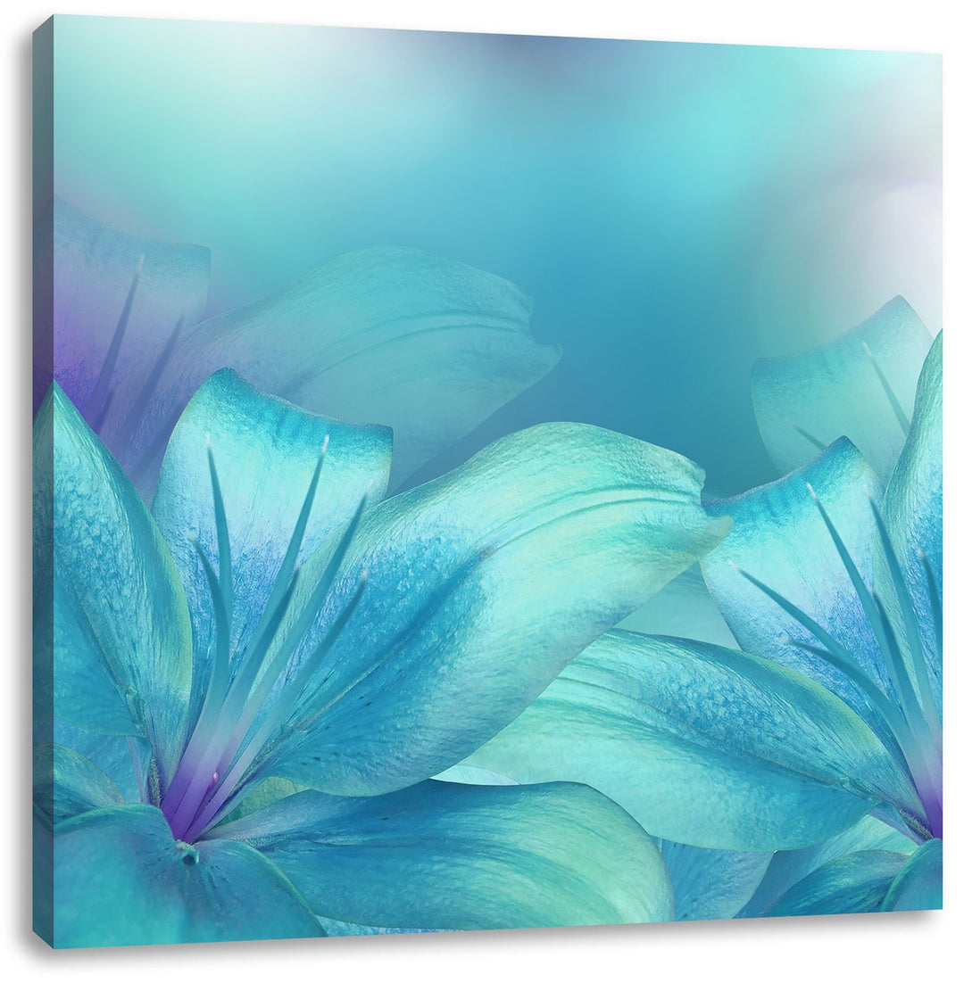 Pixxprint türkise Lilien, Format: 70x70 auf Leinwand, XXL riesige Bilder fertig gerahmt mit Keilrahm