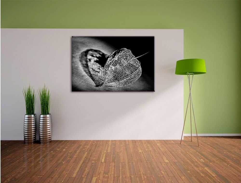 Pixxprint Schatten Einer Physalis / 100x70cm Leinwandbild bespannt auf Holzrahmen/Wandbild Kunstdruc