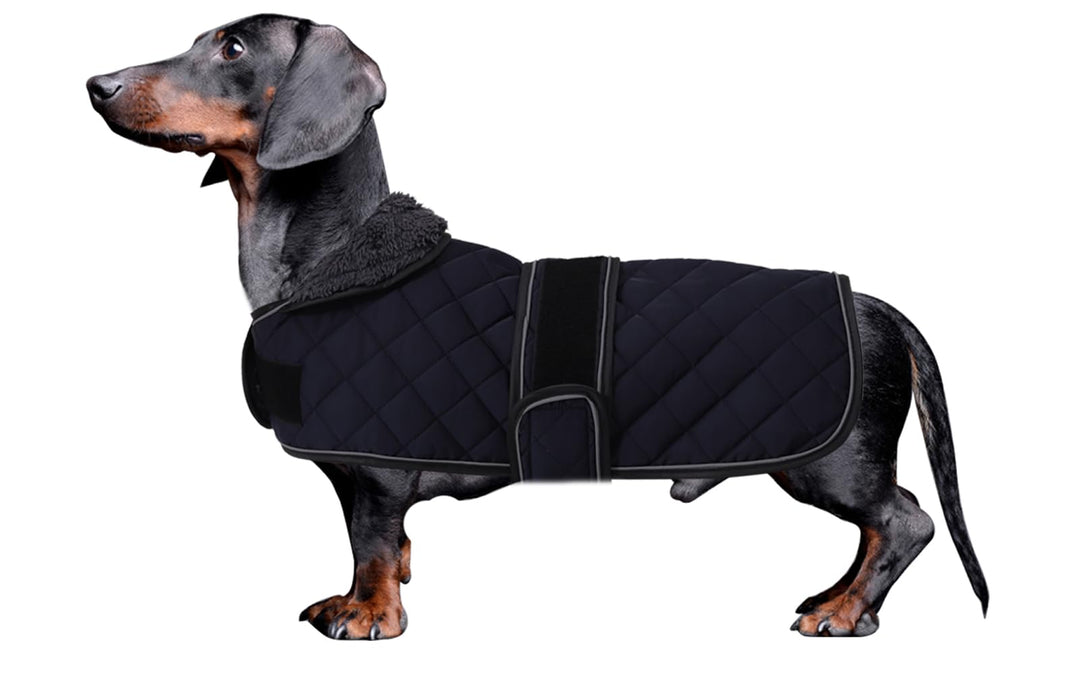 MOREZI Dackel Hund Winterjacke. wasserdichte Hundejacke. Mit Wolle, inneren und verstellbaren Schult