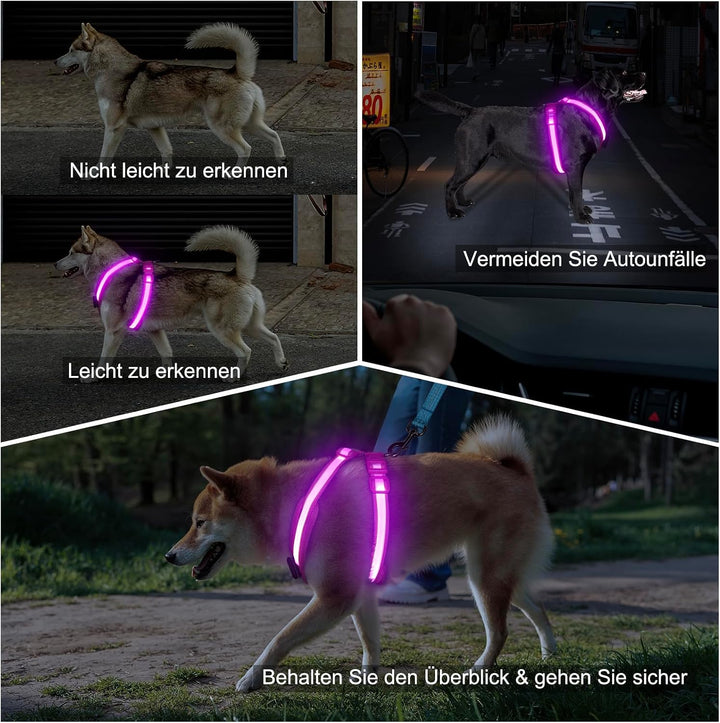 LED Hundegeschirr Wiederaufladbares Beleuchtetes Hundegeschirr Leuchtet Im Dunkeln LED Hundeweste Re