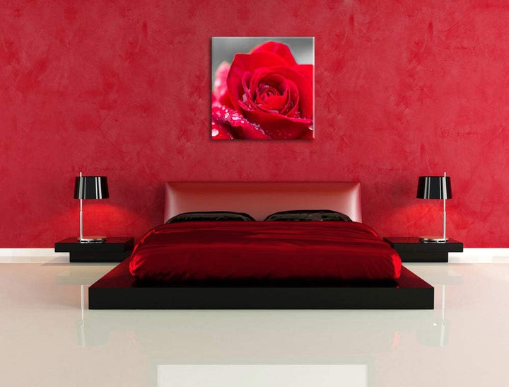 Pixxprint Rose mit Wassertropfen als Leinwandbild/Grösse: 70x70 cm/Wandbild/Kunstdruck/fertig bespan