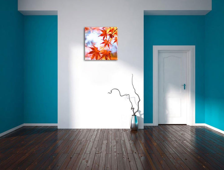 Roter Ahorn im Sonnenlicht, Format: 70x70 auf Leinwand, XXL riesige Bilder fertig gerahmt mit Keilra