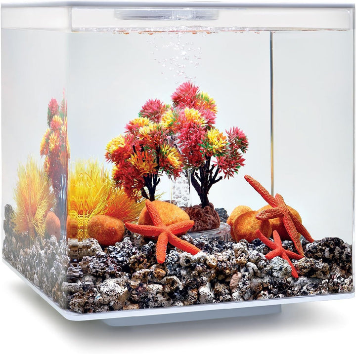 biOrb 55024 Decor Set 15L Herbst - herbstliches, farbenfrohes Aquarien-Dekor / geeignet für 15 l biO