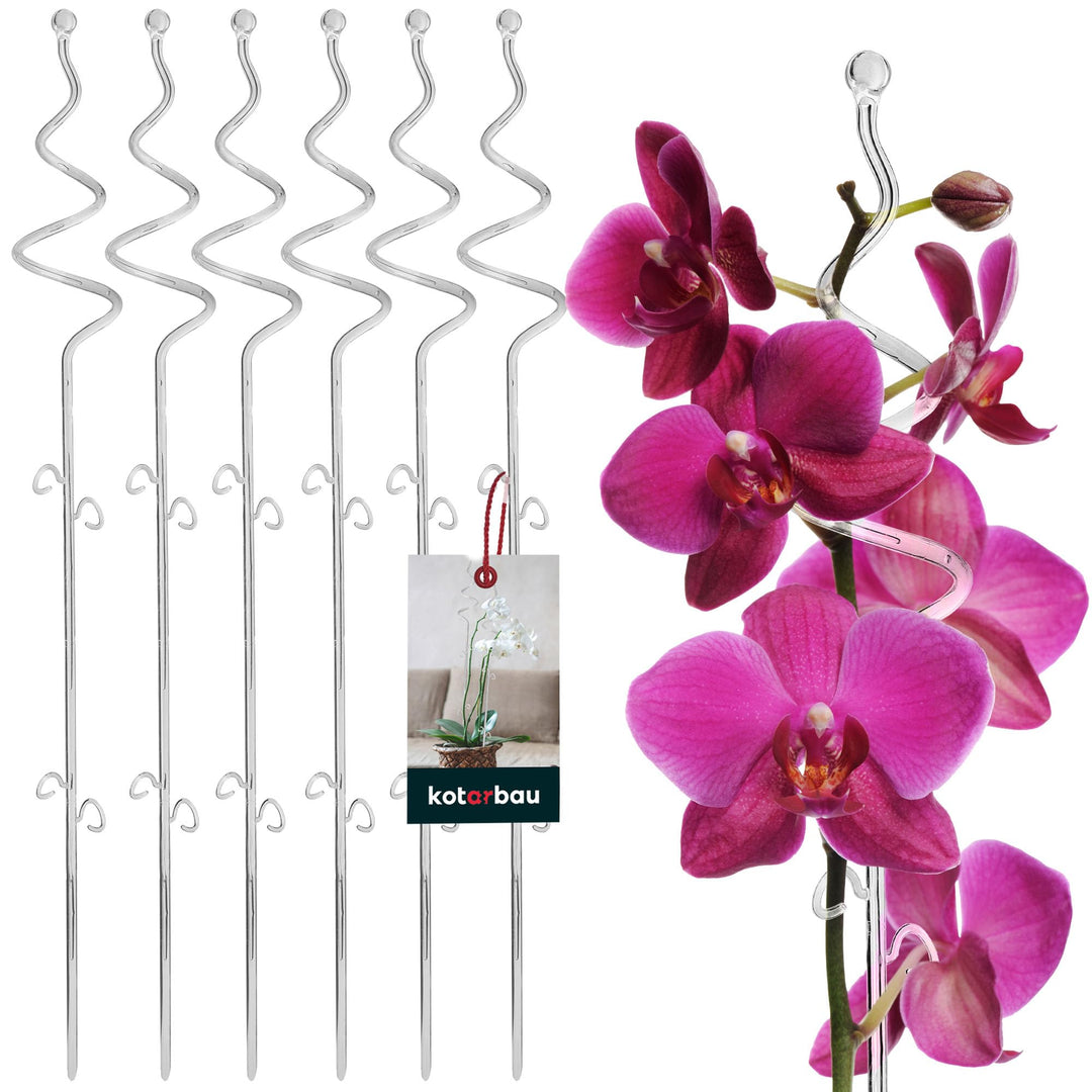 KOTARBAU® 6er Set Pflanzenstütze Transparent PVC 58 cm Spirale Blumenstütze Rankhilfe Zimmerpflanzen