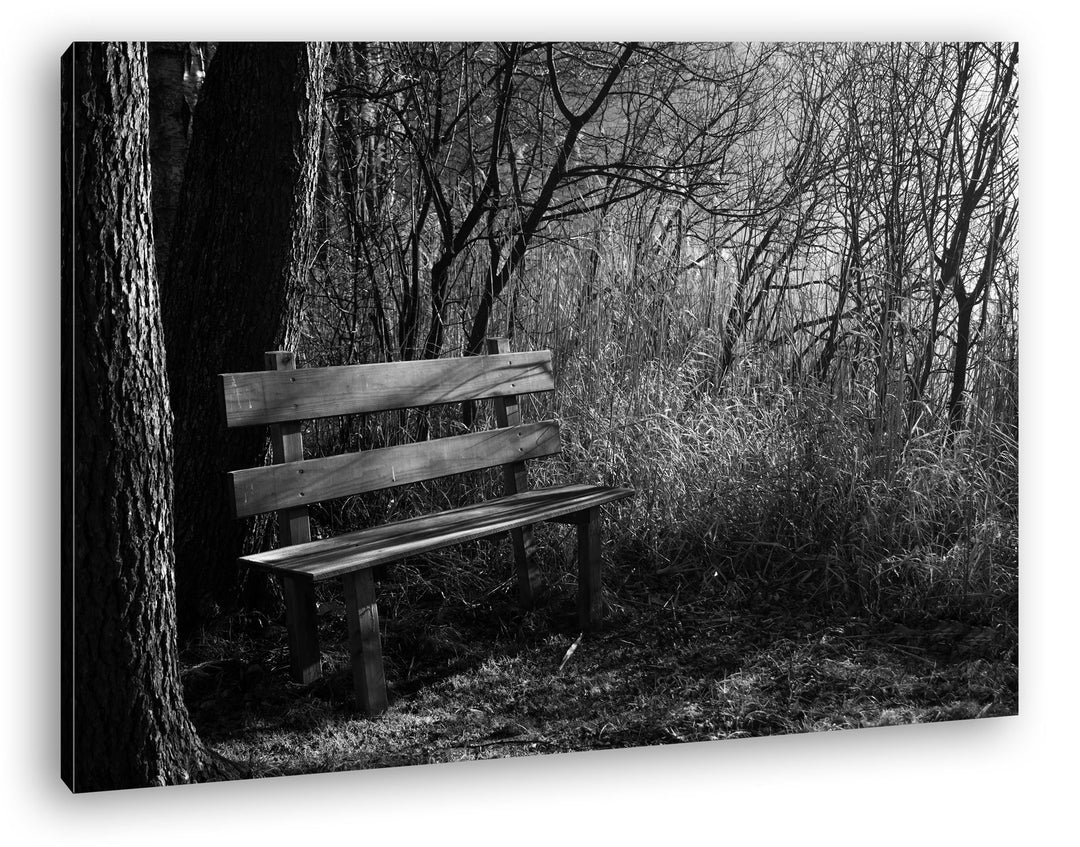 deyoli einsame Bank im Wald Format: 60x40 Effekt: Schwarz/Weiss als Leinwandbild Motiv fertig gerahm