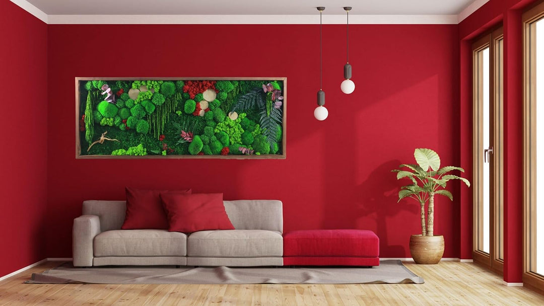 Hello Moss Moosbild - Moos Deko Für Ihr Haus - Bilderrahmen mit Kugelmoos - moderne Mooswand Lebend