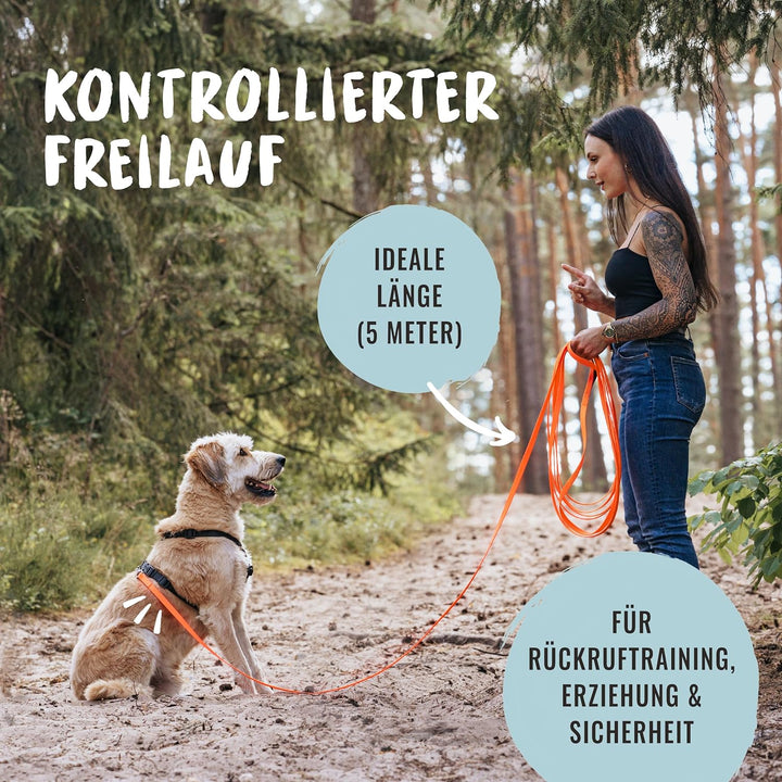 Rudelkönig Schleppleine für Hunde - 5m / 10m - Robuste & wetterfeste Hundeleine für eine erfolgreich