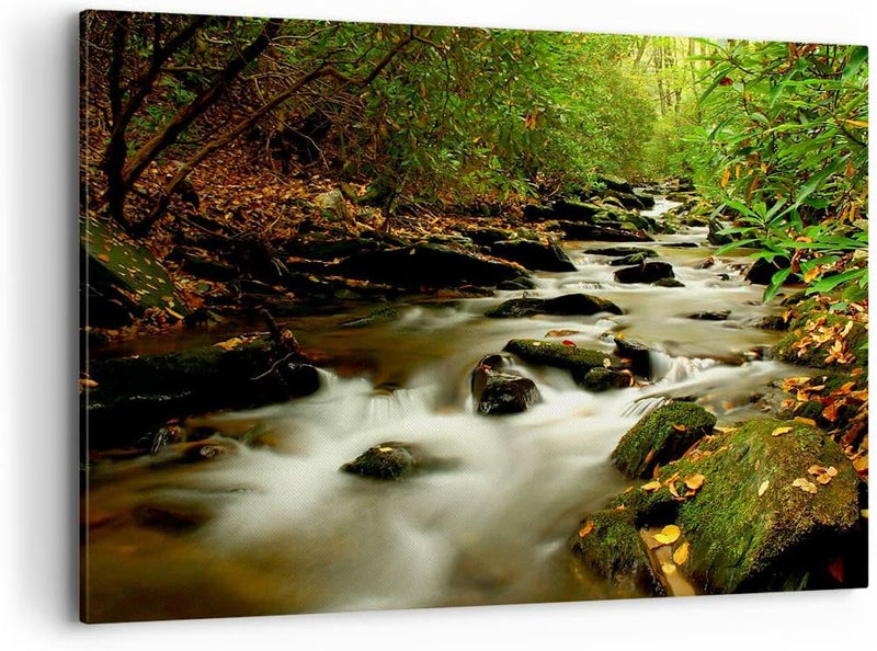 Bilder auf Leinwand 100x70cm Leinwandbild mit Rahmen Bäume Strom Felsen Gross Wanddeko Bild Schlafzi