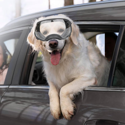 NAMSAN Hundebrille mit Weit Sichtfeld, UV-Schutz Grosse Hunde Sonnenbrille, Augen Schützen Klare Hun