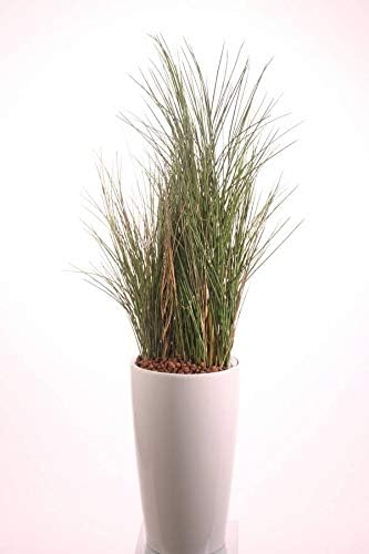 artplants.de Kunstgras Schilfgras Delsin, crossdoor, grün-braun, 80cm - Deko Grasbüschel