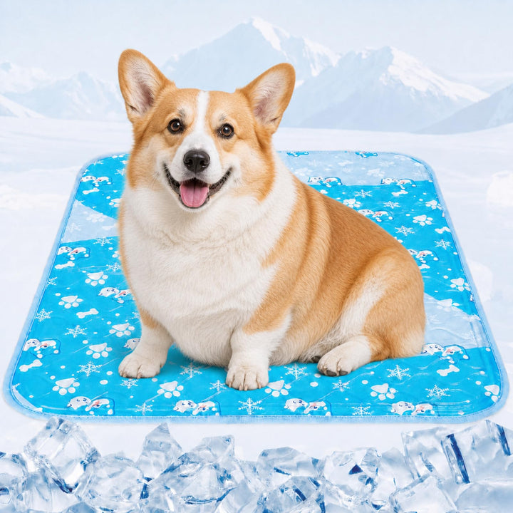 Kühlmatte Hund 60x45cm – Selbstkühlende Hundematte für Kleine Hunde &amp; Katzen – Kühldecke für Körbche