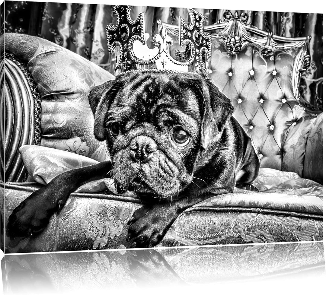 Pixxprint Süsser Mops auf dem Thron als Leinwandbild/Grösse: 100x70 / Wandbild/Kunstdruck/fertig bes