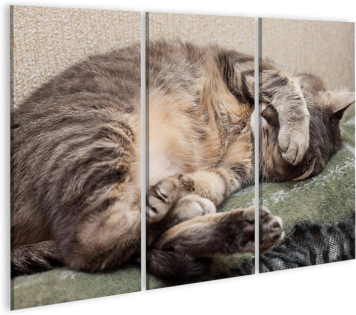 islandburner Bild auf Leinwand Schlafende Katze Bilder Wandbilder Poster Leinwand 130x80cm - 3 Teile