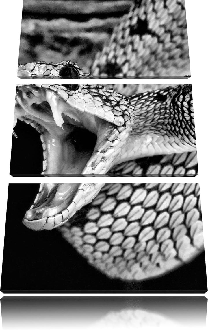 Pixxprint Giftige grüne Schlange / 3-Teilig/Gesamtmass 120cm Leinwandbild bespannt auf Holzrahmen/Wa