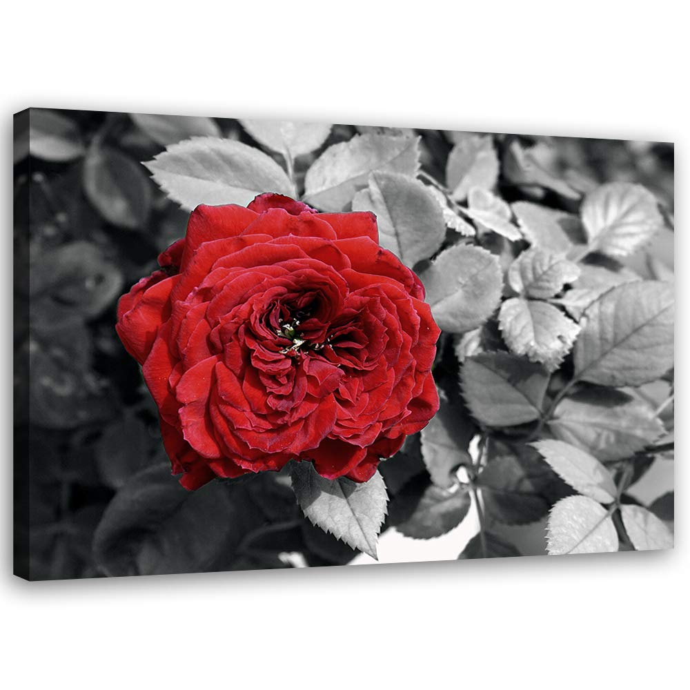 Feeby Bilder Blumen Rote Rosen XXL 120x80 cm 1Teilig Wohnzimmer Schlafzimmer Bilder Wandbilder Bild