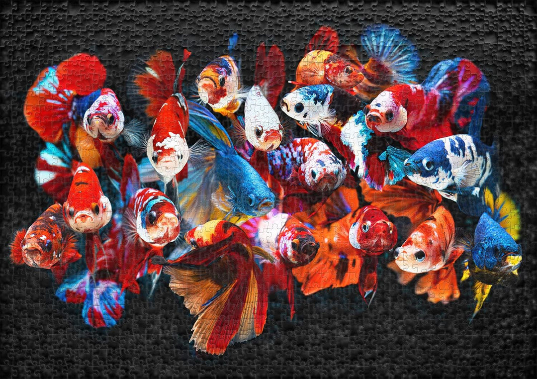 Ulmer Puzzleschmiede - Puzzle „Koi“ - Bunte Fische als klassisches 1000 Teile Puzzle - Puzzlemotiv e