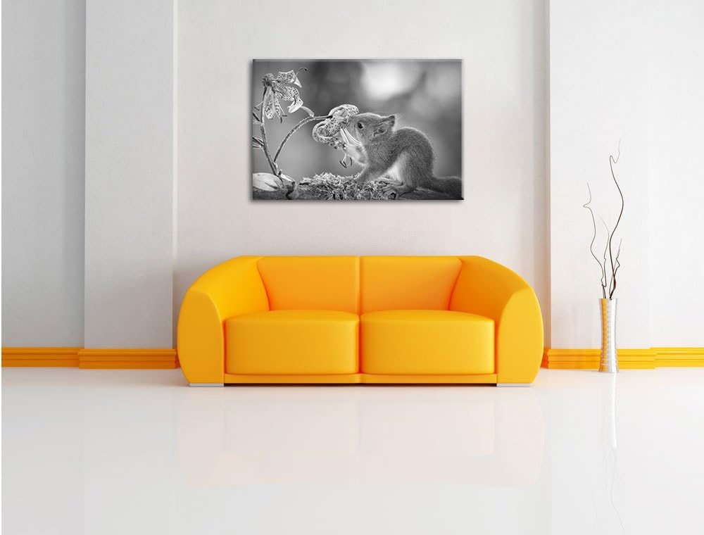 Pixxprint süsses Eichhörnchen riecht an Einer Blume Kunst B&amp;W, Format: 100x70 auf Leinwand, XXL ries