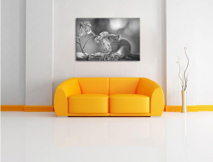Pixxprint süsses Eichhörnchen riecht an Einer Blume Kunst B&amp;W, Format: 100x70 auf Leinwand, XXL ries