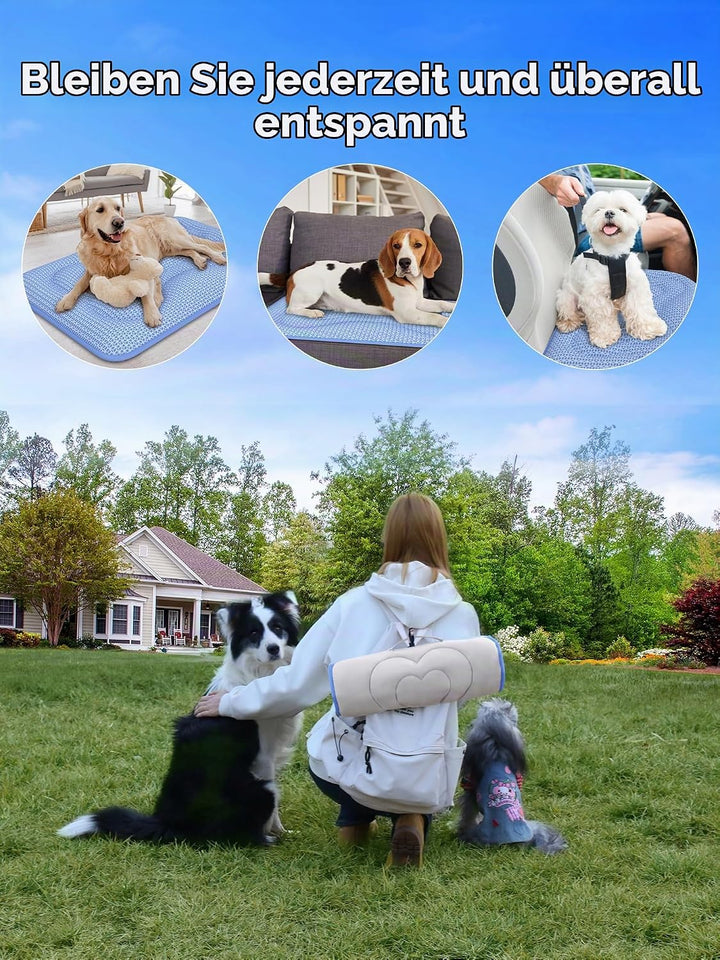 Rywell Kühlmatte Hund 90x70 cm, 3 cm Extra Dick &amp; Gelenkschonend, Farbwechsel-Selbstkühlend mit Arc-