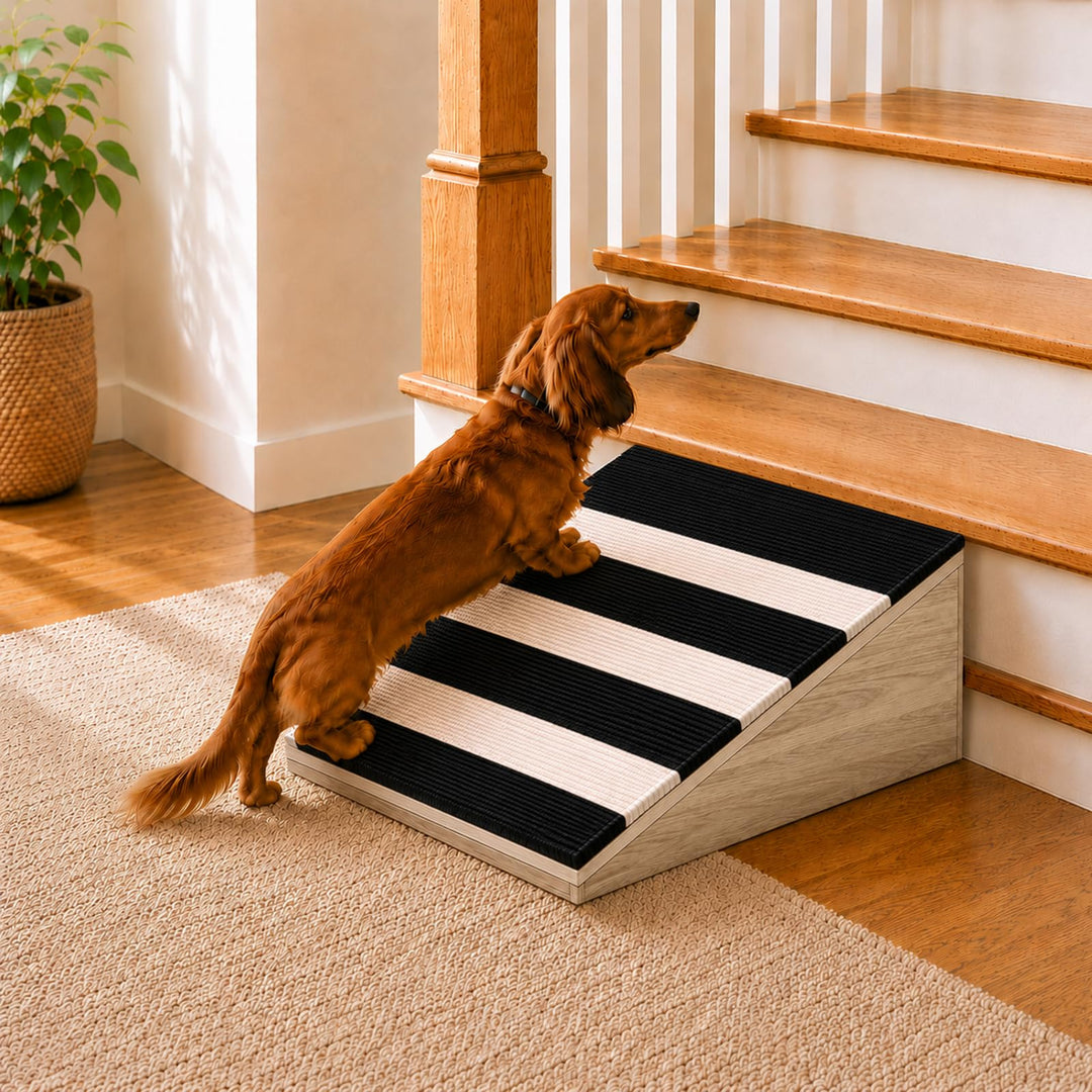 2 Pack Dog Ramp for Small Dogs, Solid Acacia Wood Pet Ramp with Non-Slip Carpet, 180 lbs Capacity, G