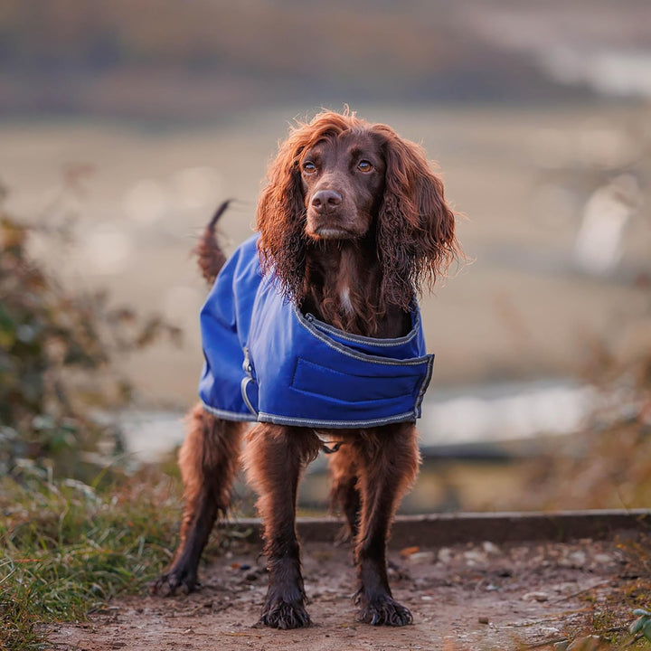 Weatherbeeta Comfitec Windjacke Frei Hundemantel - Dunkelblau/Weiss/Grau 30 cm Dunkelblau/Grau/Weiss