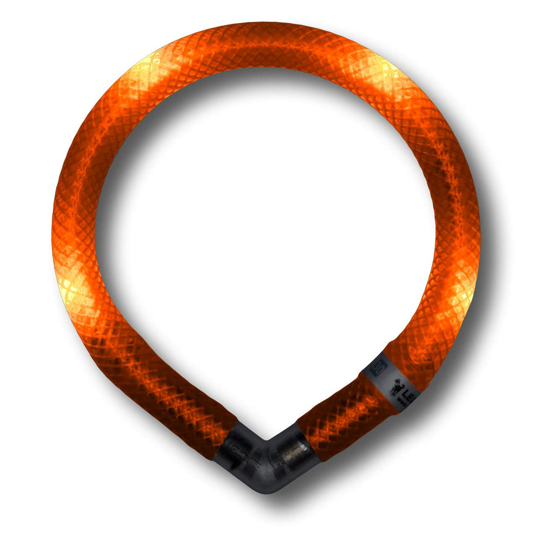 LEUCHTIE® Leuchthalsband Mini Sunset orange Grösse 32,5 I LED Halsband extra für kleine Hunde I wass