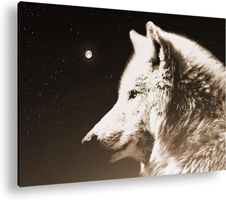 deyoli einsamer stolzer Wolf Format: 120x80 Effekt: Sepia als Leinwandbild, Motiv fertig gerahmt auf