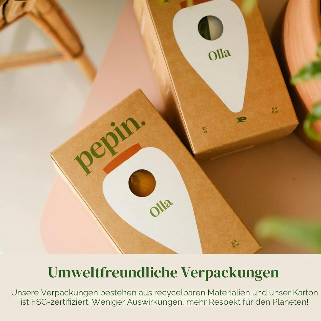 Pepin | Olla Terrakotta zum Pflanzen | automatische und umweltfreundliche Bewässerung für Pflanzen i