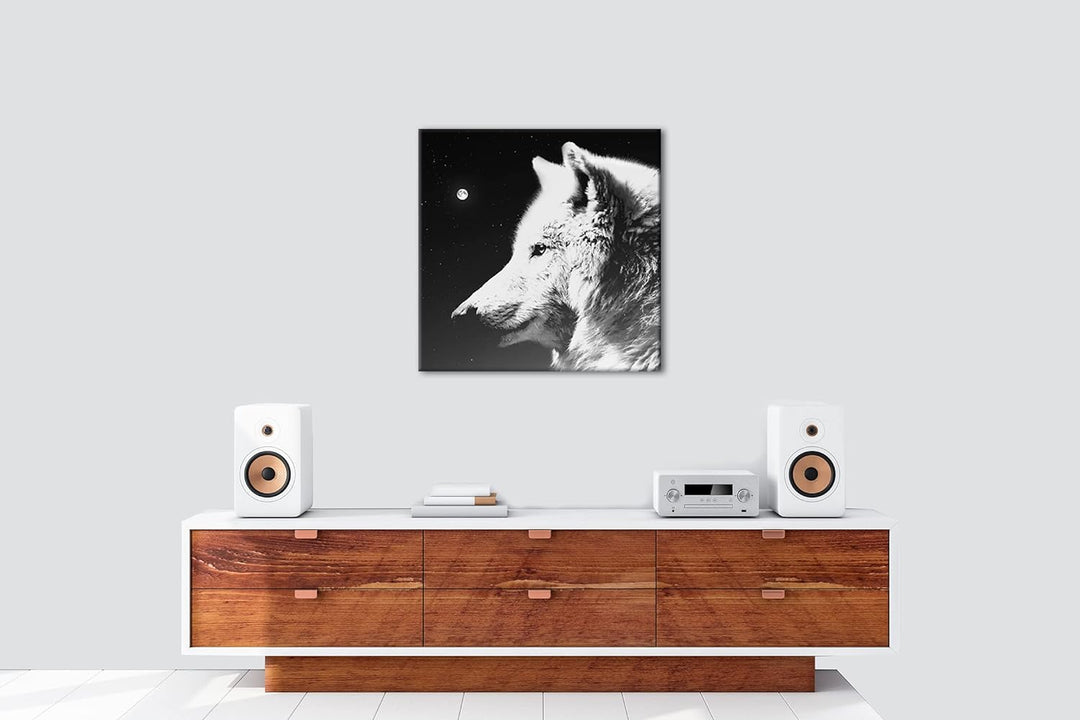 einsamer stolzer Wolf Format: 60x60 Effekt: Schwarz&Weiss als Leinwandbild, Motiv fertig gerahmt auf