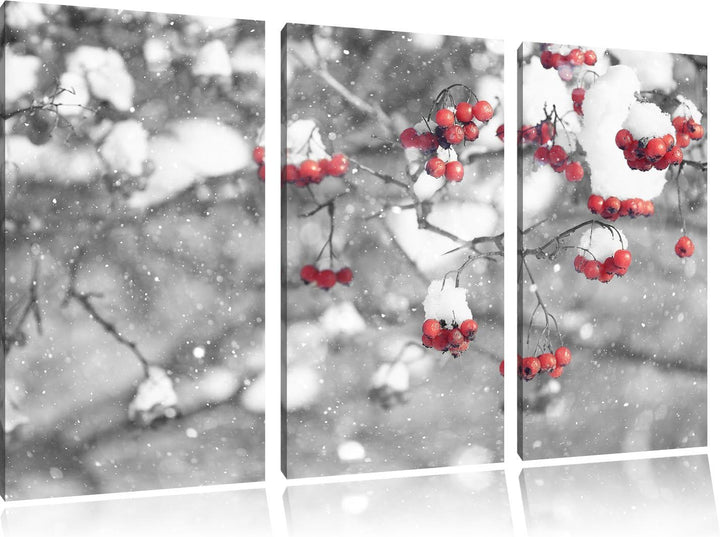 Pixxprint Vogelbeeren mit Schnee bedeckt Schwarz/Weiss 3-Teiler Leinwandbild 120x80 Bild auf Leinwan