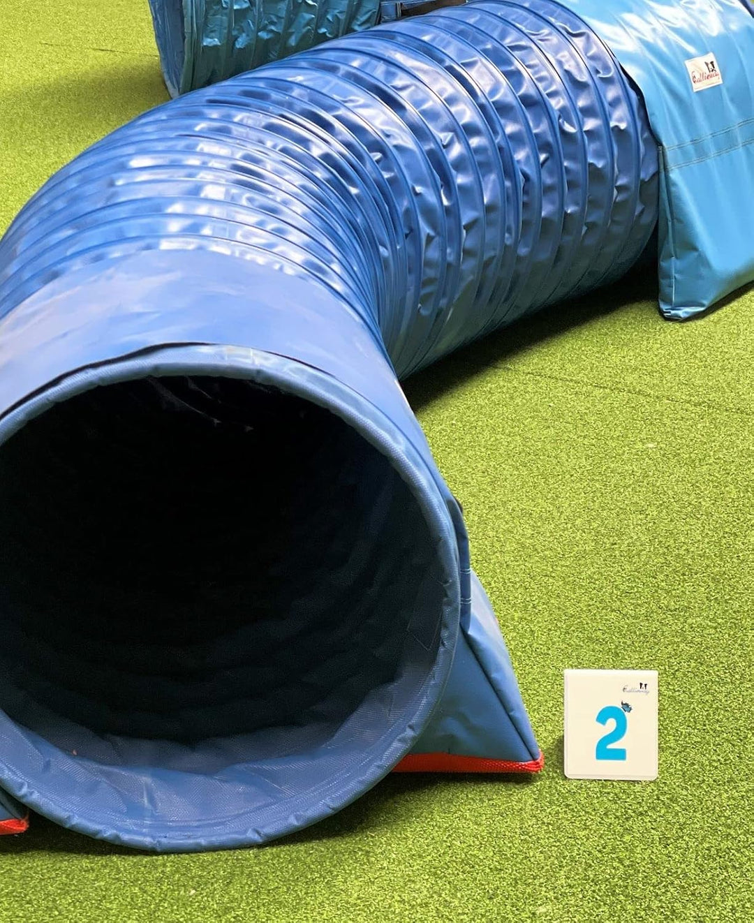 Callieway Agility Parcoursnummern Blue Butterfly Nummernschilder - durchnummeriertes Klebeset 1-25 B