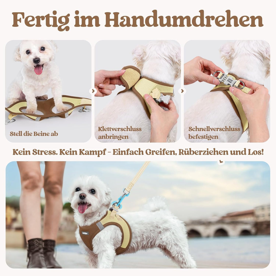 rabbitgoo Hundegeschirr Kleine Hunde mit Leine, Step-in Welpengeschirr Weich Mesh für Spaziergänge,